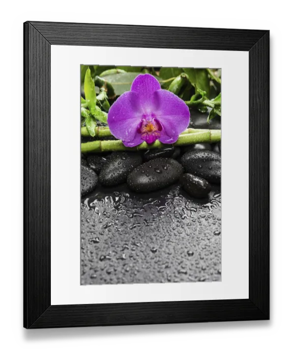 Framed Print : Spa concept with black basalt massage stones Framed Print : Spa concept with black basalt massage stones