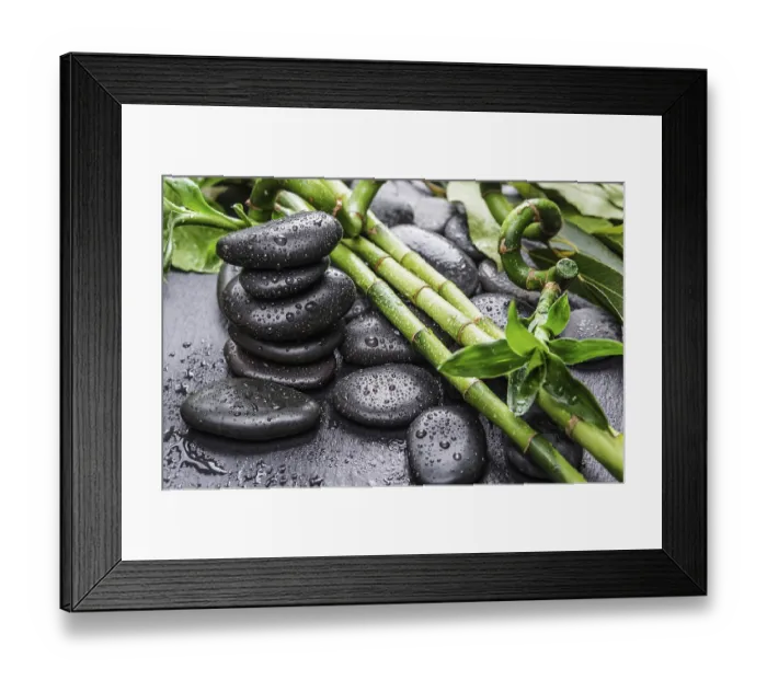 Framed Print : Spa concept with black basalt massage stones and lush green foliage covered with water drops on a black background