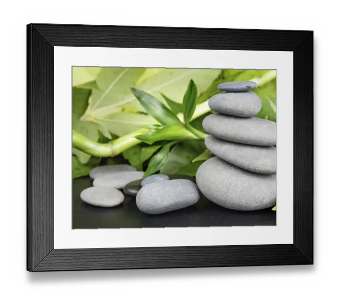 Framed Print : Spa concept with gray basalt massage stones and lush green foliage on a black background Framed Print : Spa concept with gray basalt massage stones and lush green foliage on a black background
