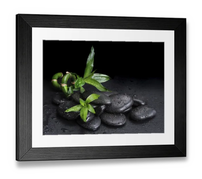 Framed Print : Spa concept with black basalt massage stones and green bamboo sprout covered with water drops on a black background
