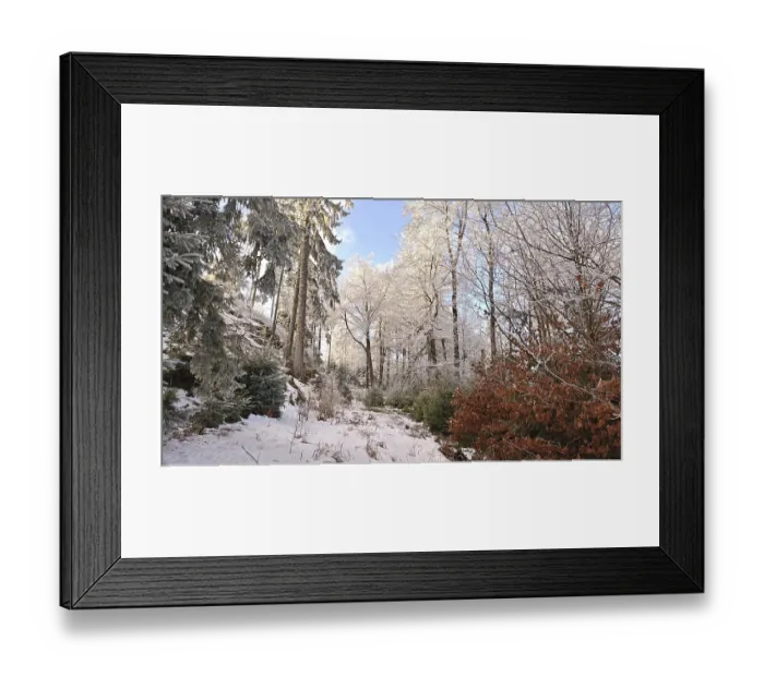 Framed Print : Winter forest scene with snow-covered trees and sun