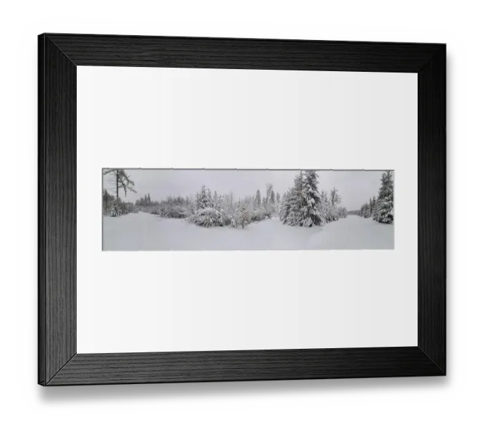 Framed Print : Panorama of a snow-covered winter forest with thick trees and a quiet atmosphere