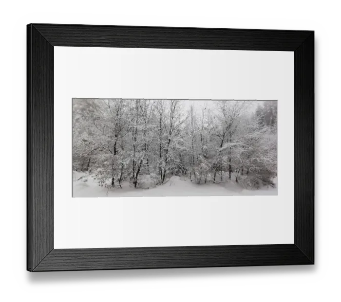 Framed Print : Snow-covered trees create a quiet and peaceful winter panorama