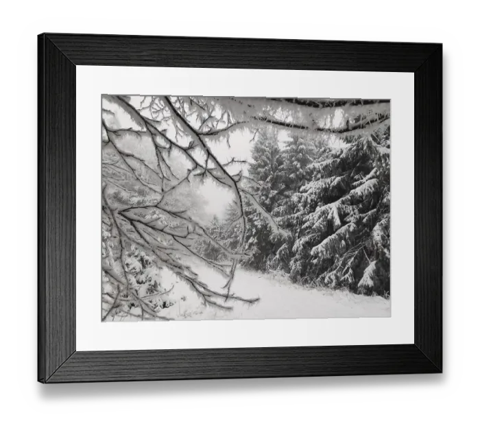 Framed Print : Snowy tree branches in a quiet winter forest