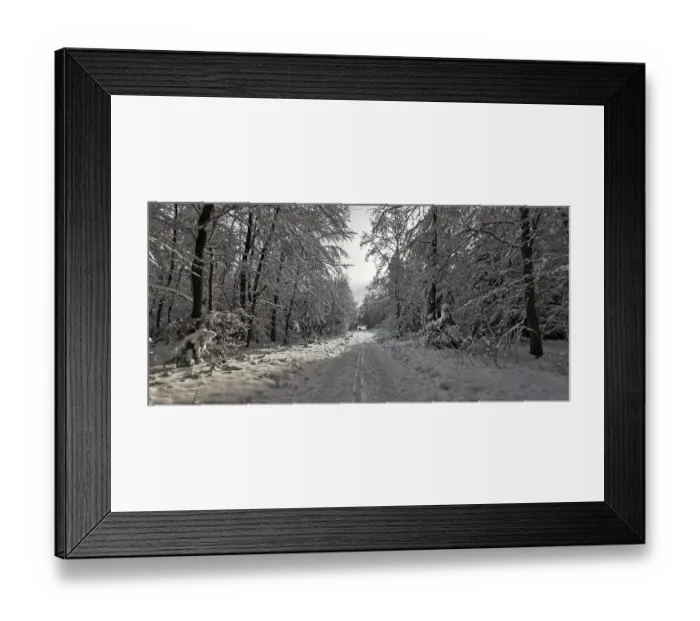 Framed Print : Snowy trail leads through a quiet