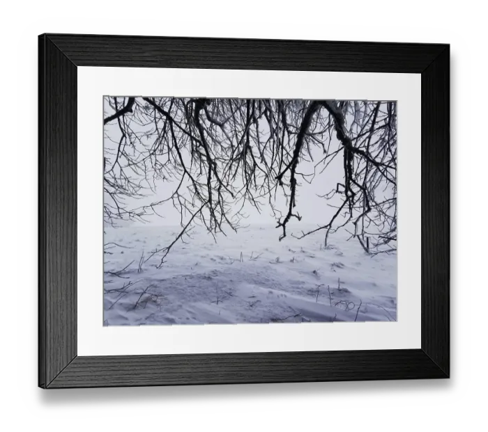 Framed Print : Dark, bare branches stretch across a snowy winter landscape Framed Print : Dark, bare branches stretch across a snowy winter landscape
