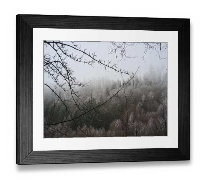 Framed Print : Misty forest on a hill, mystical winter landscape