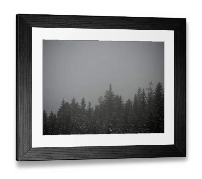 Framed Print : Misty forest with dark tree tops creates a gloomy atmosphere