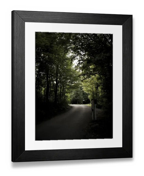 Framed Print : A quiet road in a dense forest with overhanging trees creating a peaceful Framed Print : A quiet road in a dense forest with overhanging trees creating a peaceful