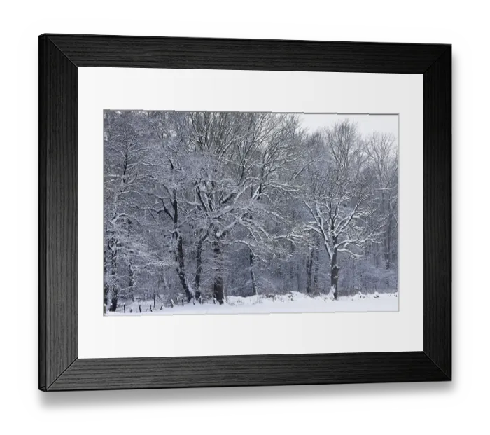 Framed Print : Deep snowy winter landscape with snow-covered trees on the edge of the forest