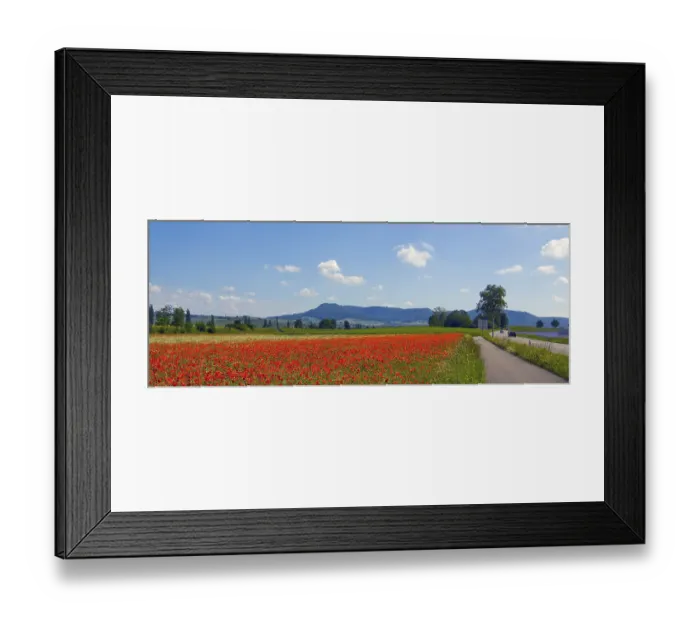 Framed Print : Canton of Schaffhausen, Switzerland
