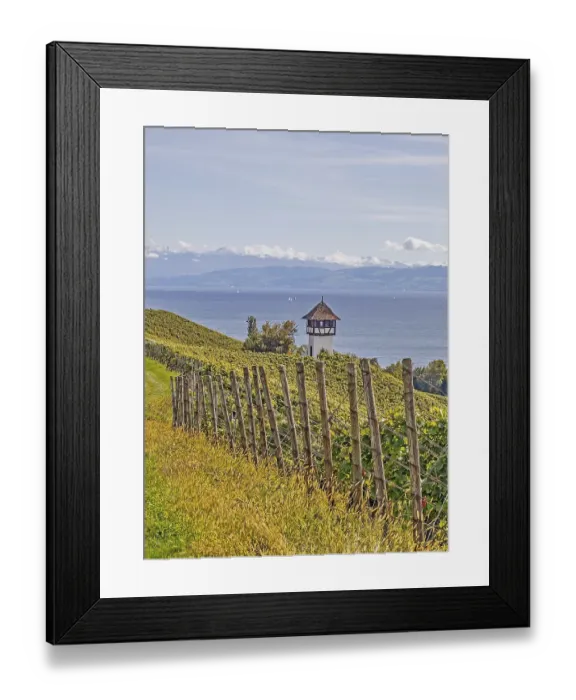 Framed Print : Vineyard small watchtower near Meersburg at the Lake Constance Framed Print : Vineyard small watchtower near Meersburg at the Lake Constance