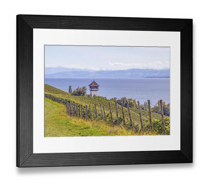 Framed Print : Vineyard small watchtower near Meersburg at the Lake Constance Framed Print : Vineyard small watchtower near Meersburg at the Lake Constance