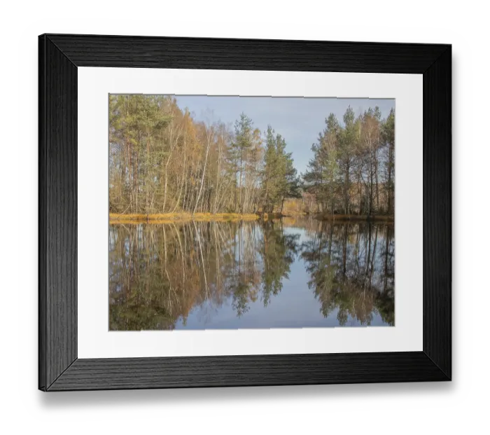 Framed Print : Schwenninger moss, Baden-Wurttemberg Schwenninger moss