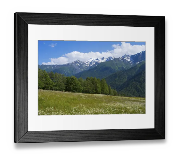 Framed Print : Flower meadow under bright blue sky