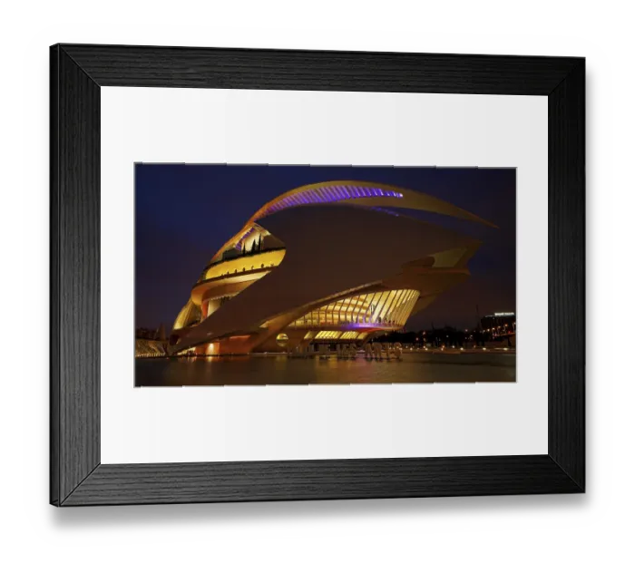 Framed Print : City of Arts and Sciences, Ciudad de las Artes las Siencias Framed Print : City of Arts and Sciences, Ciudad de las Artes las Siencias