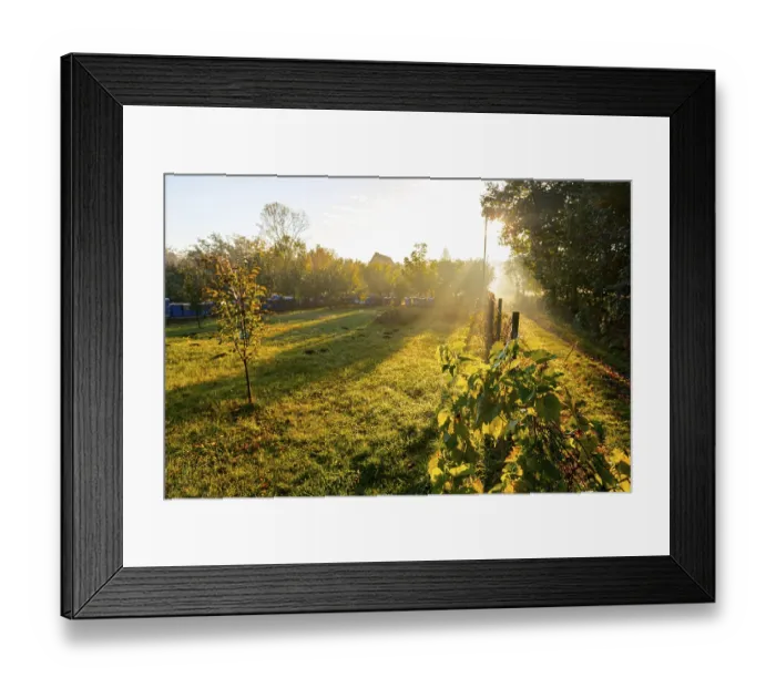 Framed Print : Backlight of early morning autumn Sun