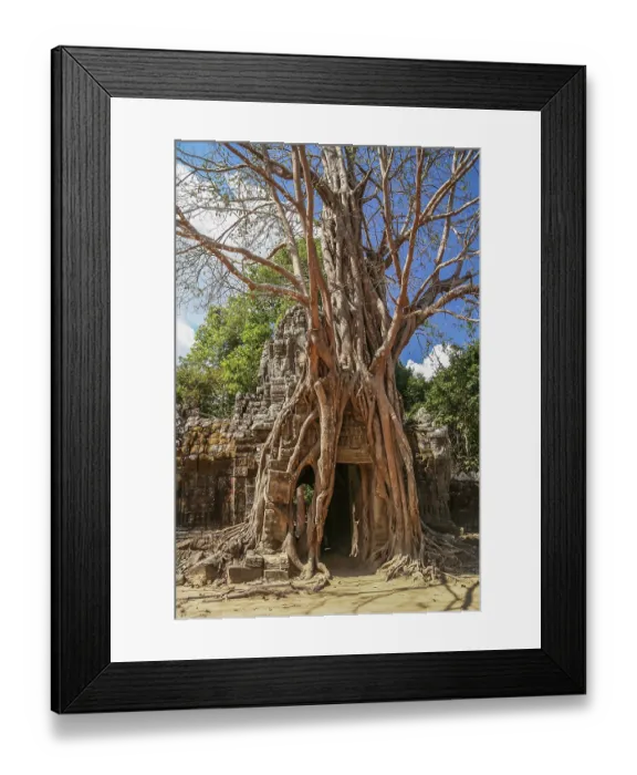 Framed Print : Tree growing on a temple entrance in the Angkor complex in Cambodia