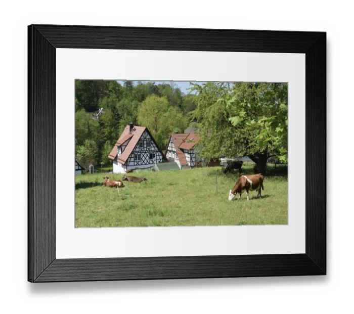 Framed Print : House, Sasbachwalden, Black Forest