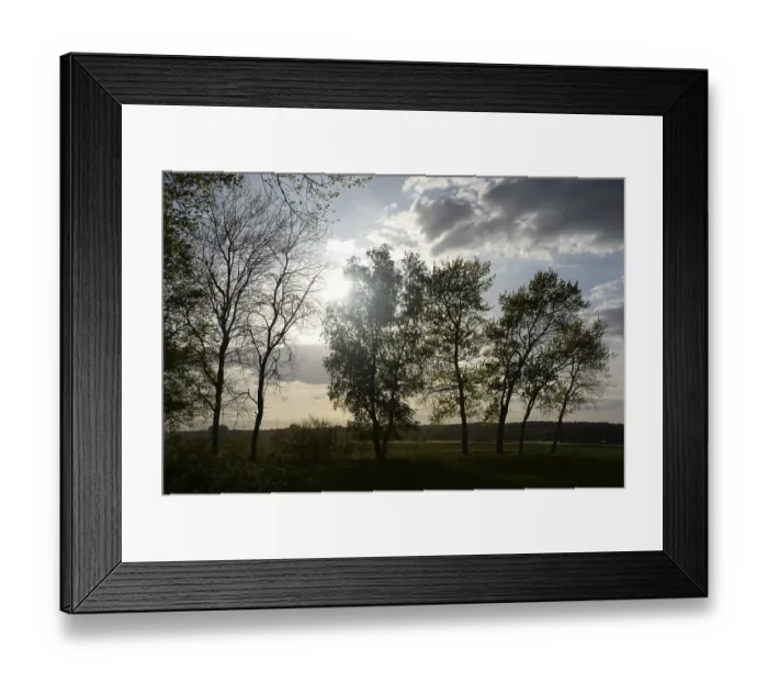 Framed Print : Trees, tree, landscape, nature Framed Print : Trees, tree, landscape, nature