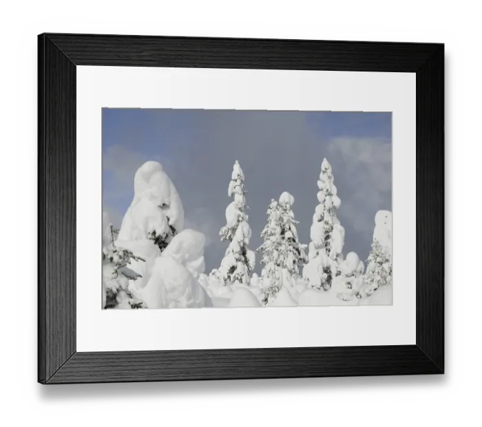 Framed Print : Trees, winter, tree, winter forest Framed Print : Trees, winter, tree, winter forest