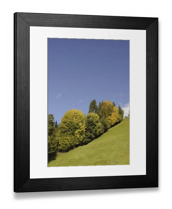 Framed Print : Edge of the forest, meadow, nature