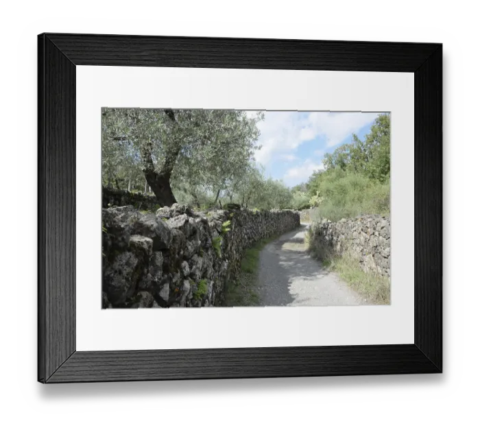 Framed Print : Road, farm road, wall, stone wall Framed Print : Road, farm road, wall, stone wall