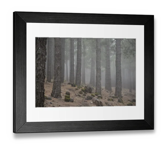 Framed Print : Volcano route, fog, forest, tree Framed Print : Volcano route, fog, forest, tree