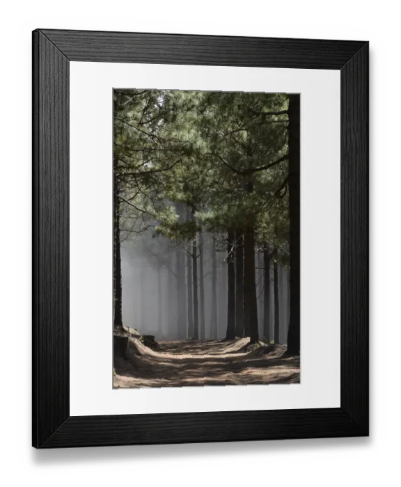 Framed Print : Volcano route, fog, forest, tree Framed Print : Volcano route, fog, forest, tree