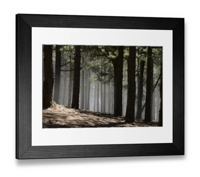 Framed Print : Volcano route, fog, forest, tree