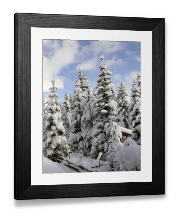 Framed Print : Forest, tree, trees, winter, snow Framed Print : Forest, tree, trees, winter, snow