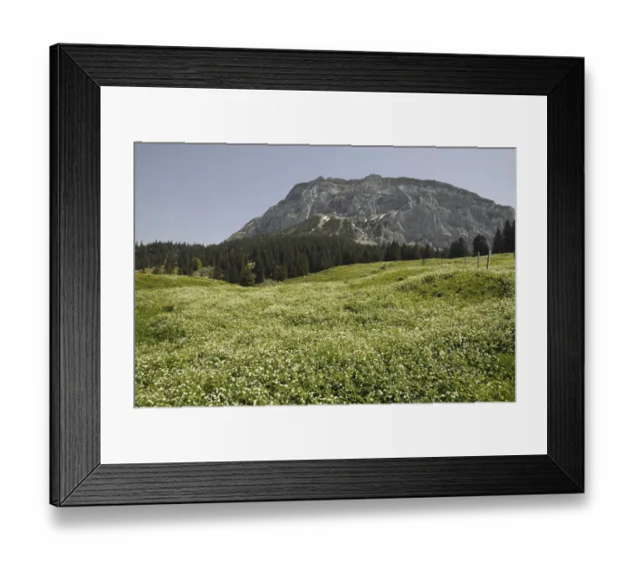 Framed Print : Mountain, summit, mountain meadow