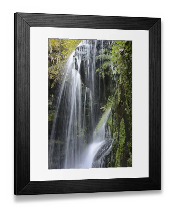 Framed Print : Blackbird fall, waterfall, stream