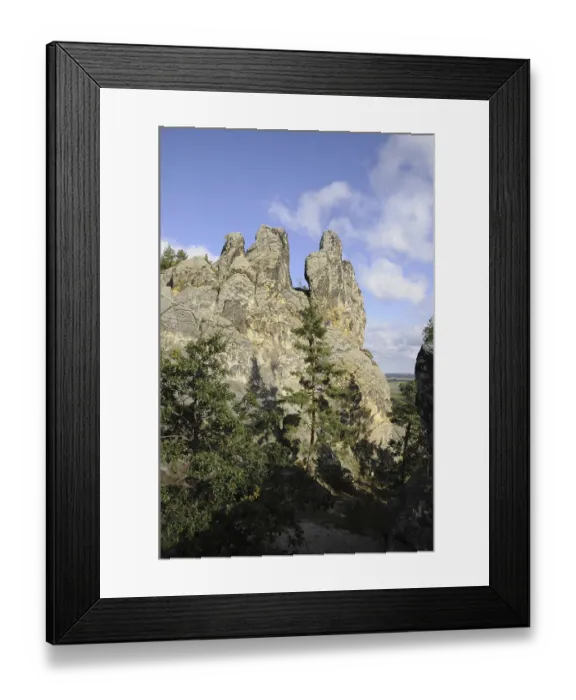 Framed Print : Hamburg coat of arms, Devil's Wall