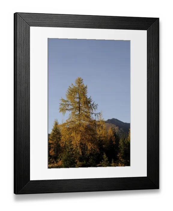 Framed Print : Hochkrimml, Gerlos, Gerlospass
