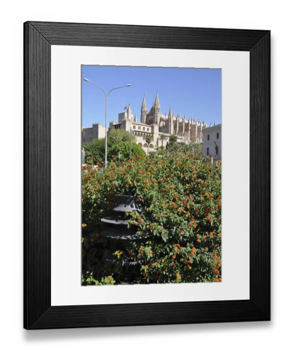 Framed Print : Cathedral, Palma, Majorca, Palma de Majorca