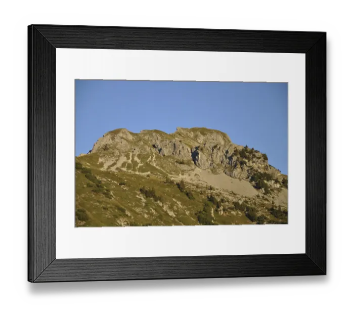 Framed Print : Sheep nose, mountains, Switzerland Framed Print : Sheep nose, mountains, Switzerland