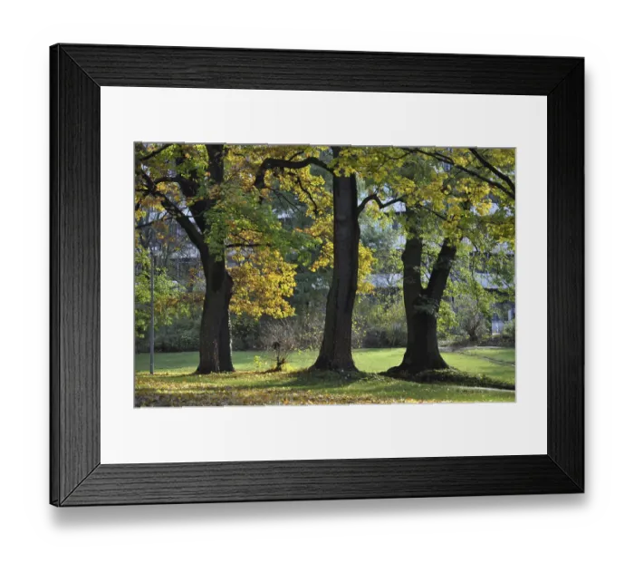 Framed Print : Romerwall park, Mainz, park