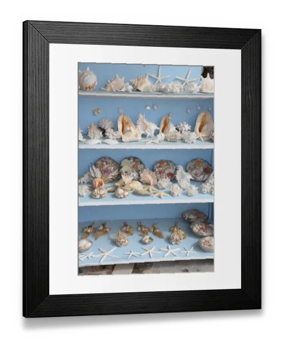 Framed Print : Souvenirs, sea, souvenir, snail
