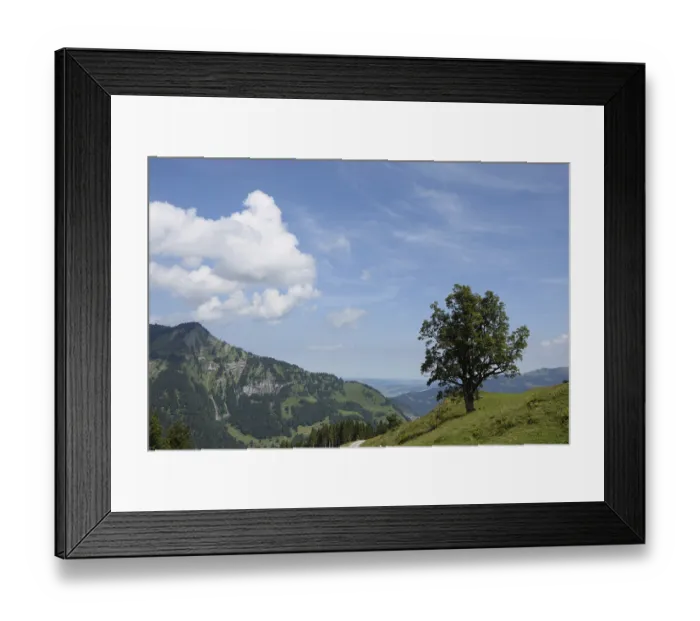 Framed Print : Tree, Mellau, Bregenzerwald, mountains Framed Print : Tree, Mellau, Bregenzerwald, mountains