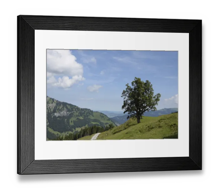 Framed Print : Tree, Mellau, Bregenzerwald, mountains