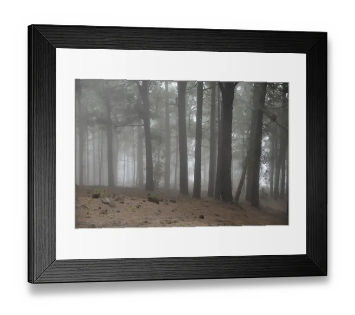 Framed Print : Volcano route, fog, forest, tree