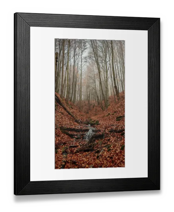 Framed Print : A foggy autumn forest with fallen leaves and a small stream