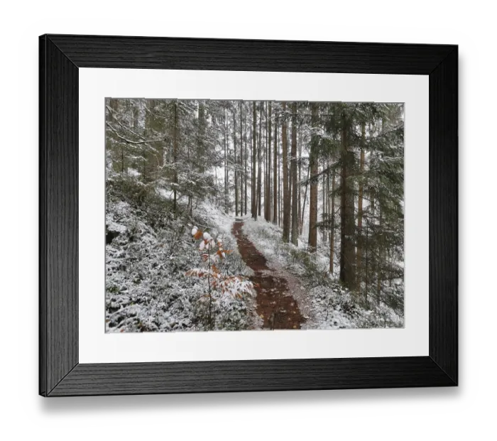 Framed Print : Snowy trail in winter forest, Fichtelgebirge Framed Print : Snowy trail in winter forest, Fichtelgebirge
