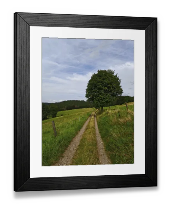 Framed Print : A rural dirt road snakes past a lonely tree through green meadows under a cloudy sky