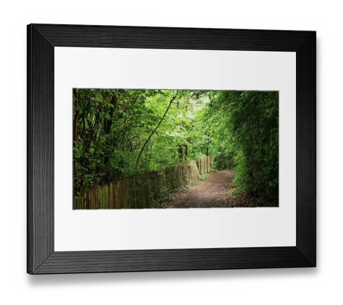 Framed Print : Idyllic forest trail with green canopy flanked by a wooden picket fence in thick vegetation