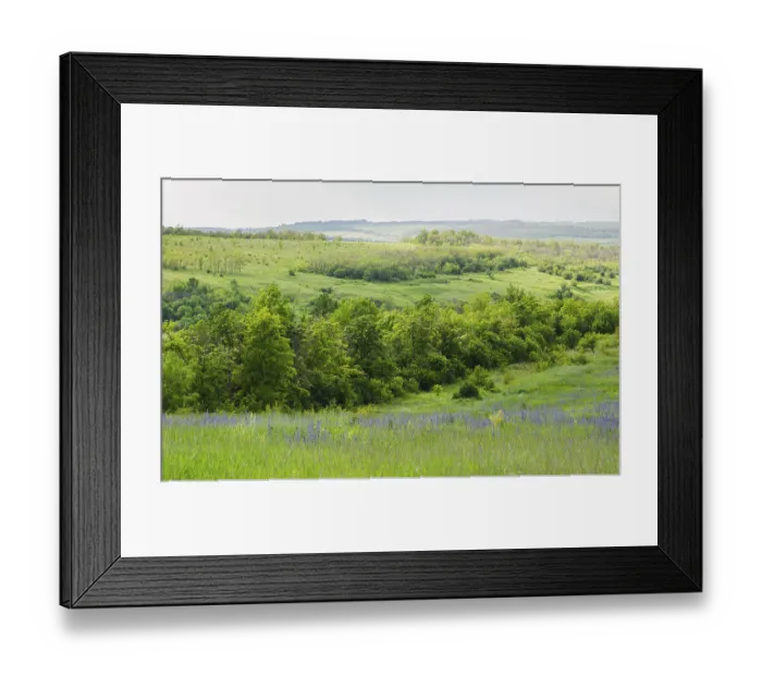 Framed Print : Landscape view on a deciduous forest and meadows