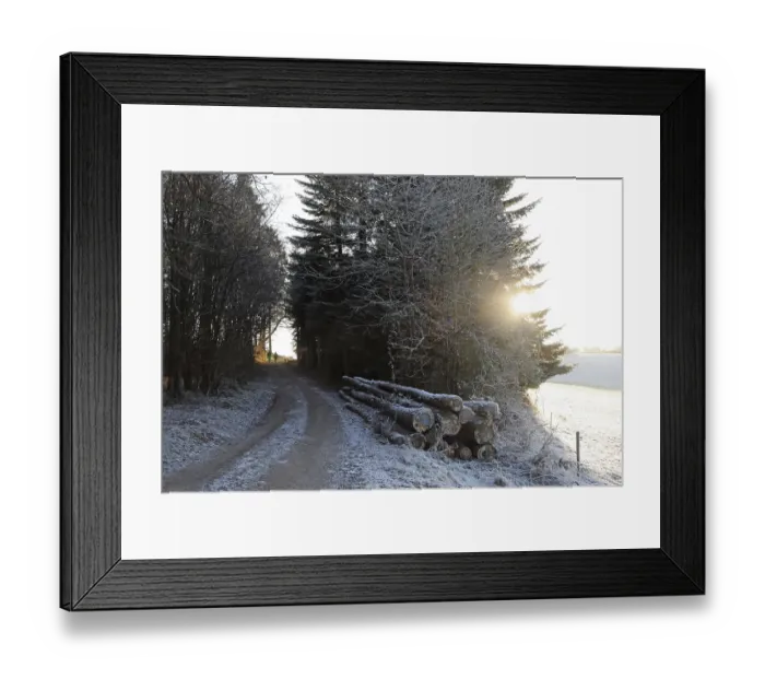 Framed Print : Path, edge of forest, snow, frost