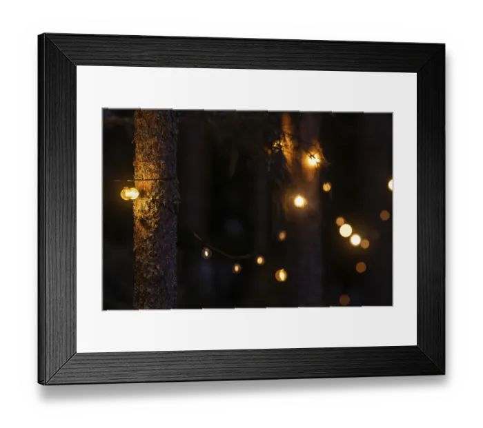 Framed Print : Fairy lights on pine trunks emit warm