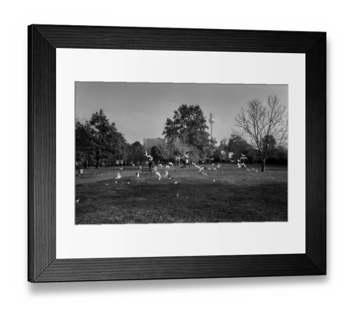 Framed Print : Germany, Berlin, 28.10.1992, Monbijoupark
